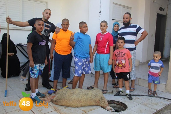 dabe7 ludj31 (1).JPG